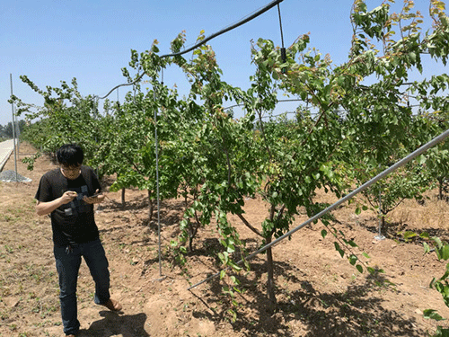 农业91视频网站地址