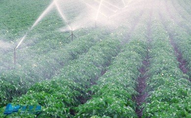 91视频网站地址系统