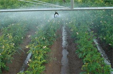 91视频网站地址系统厂家
