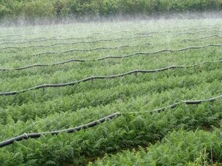 节水91视频网站地址 节水91视频网站地址