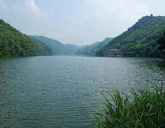 91视频网站地址 91视频网站地址