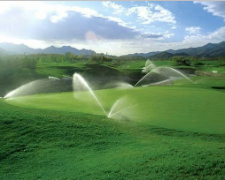91视频网站地址系统
